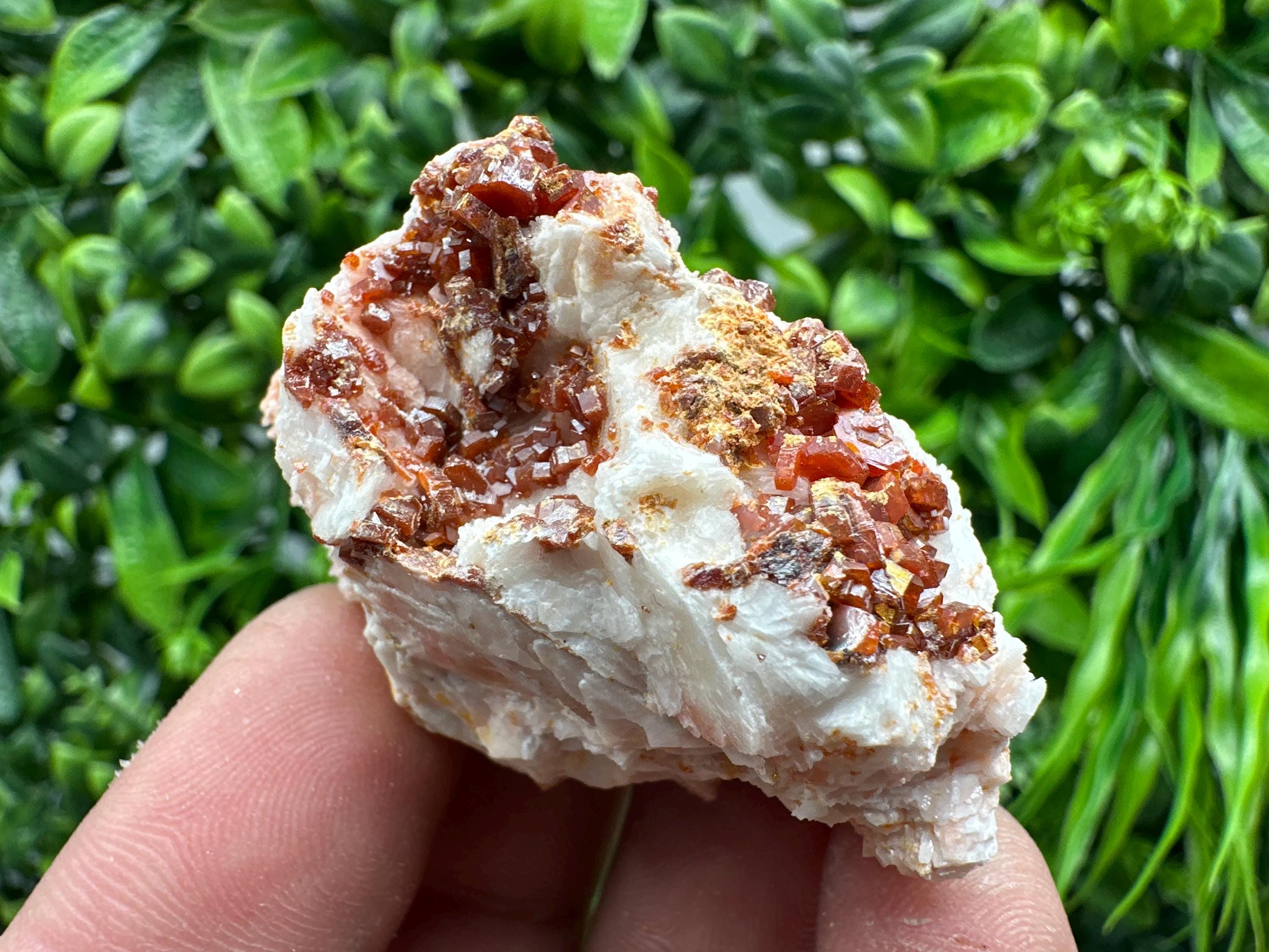 Red Vanadinite on Barite, Morocco Crystal Cluster
