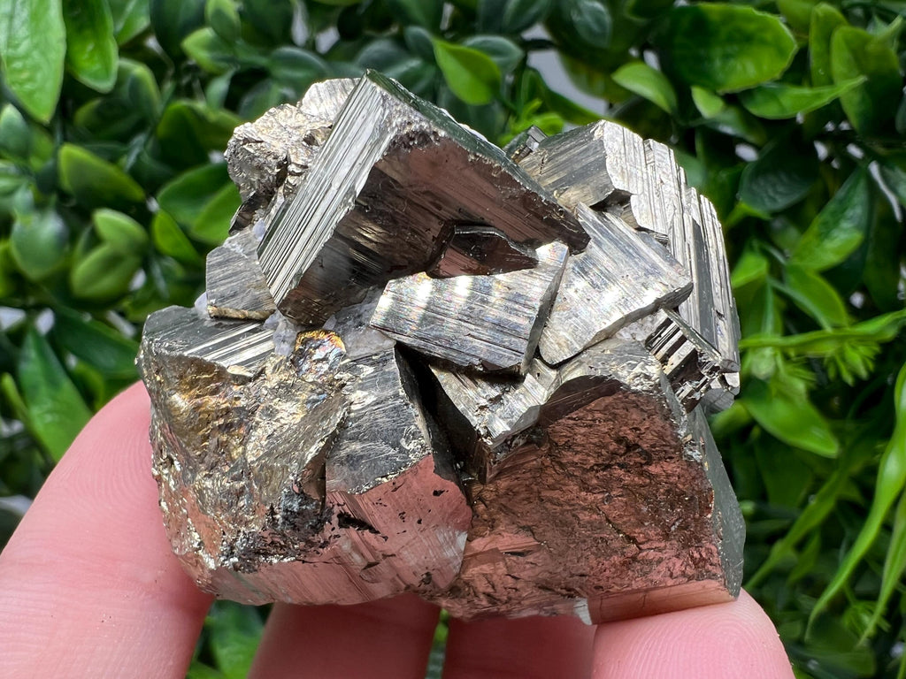 Rare Crystalline Pyrite Cluster, Borieva Mine, Bulgaria