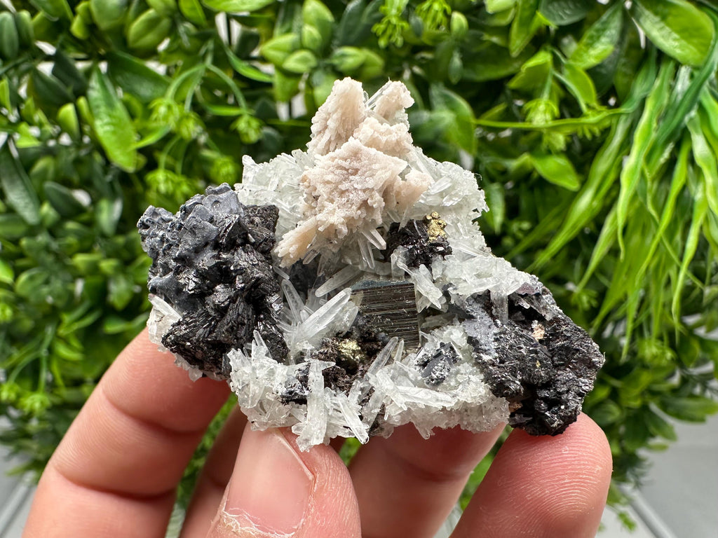 Golden Pyrite,Sphalerite from 9th September mine,Madan,Bulgaria,natural,collectible mineral specimen,home decor crystal,Pyrite cluster,