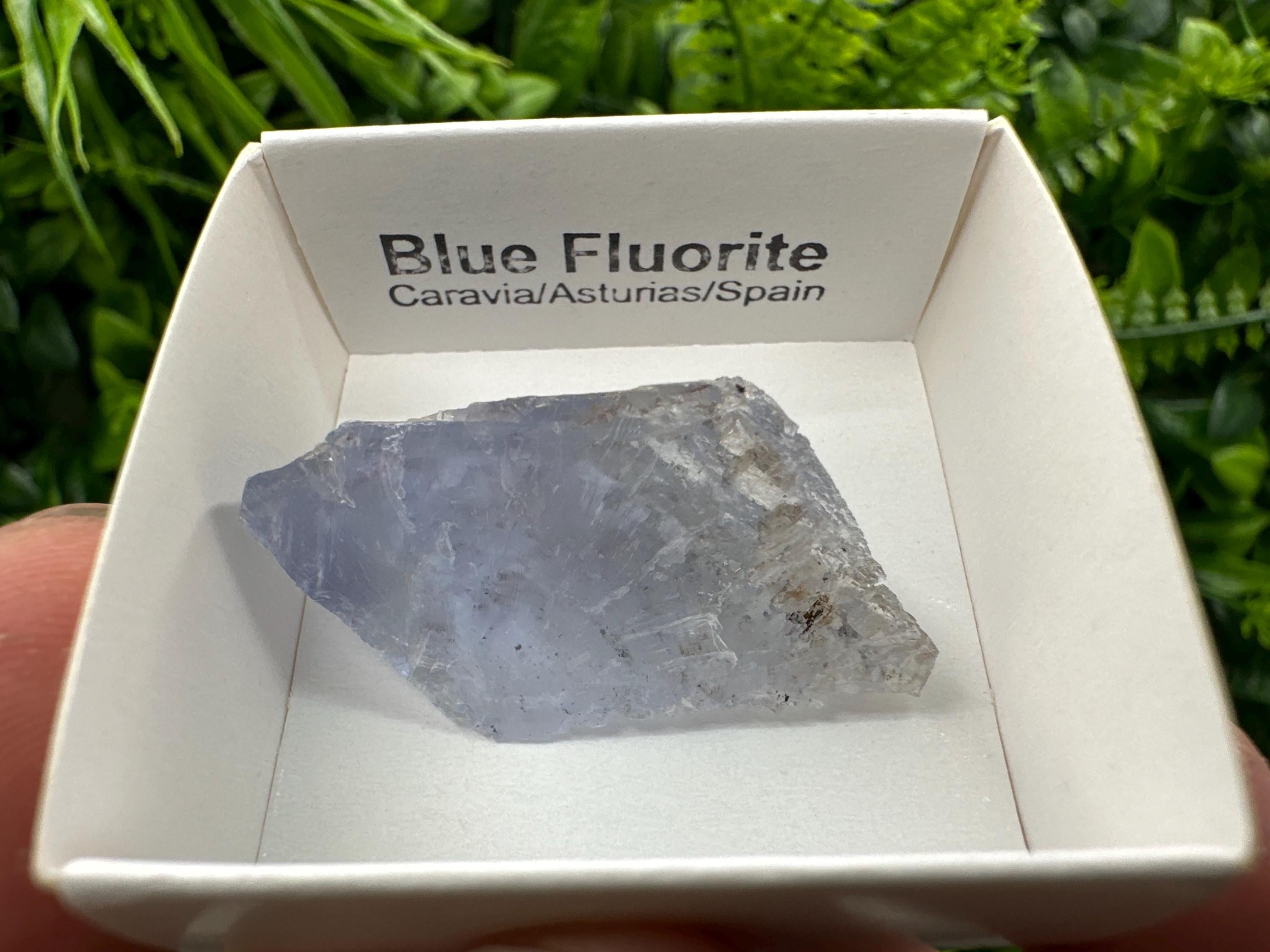 Blue Fluorite Mineral Specimen from Spain, Crystal Collection (4/2 cm)