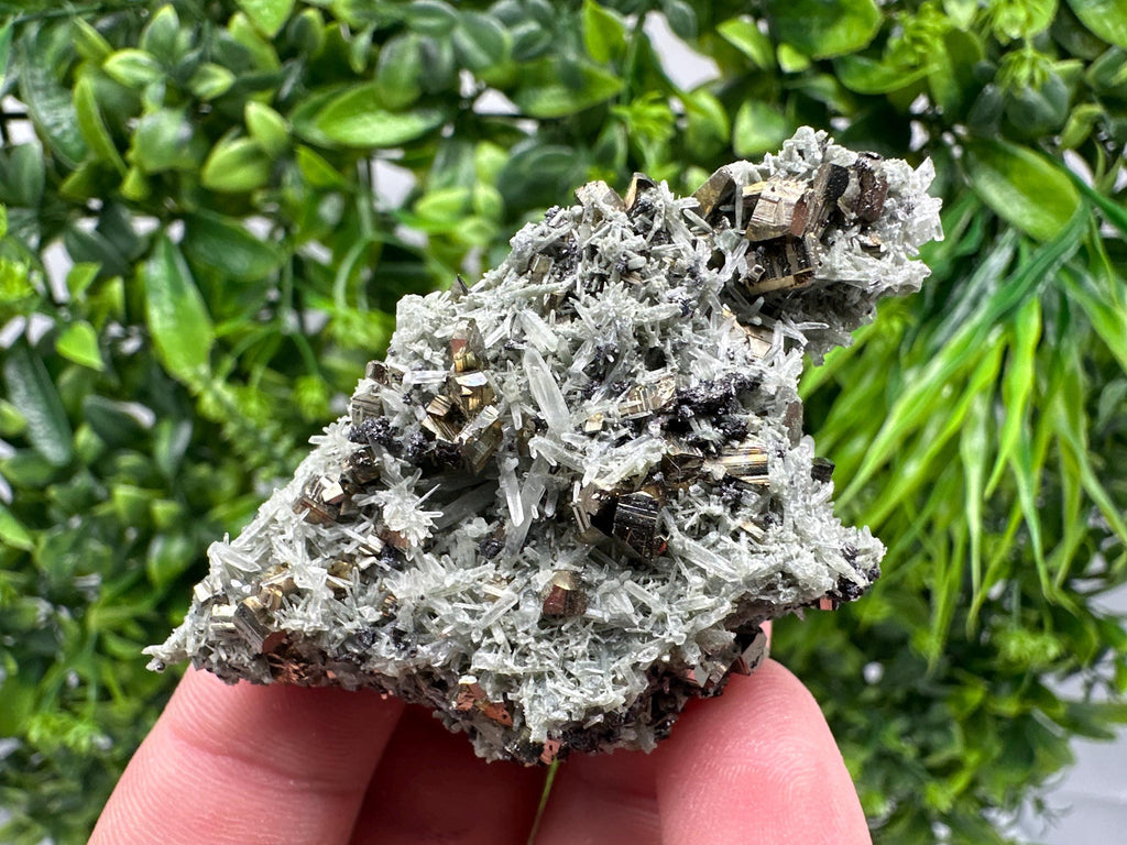 Pyrite on Green Quartz Mineral Specimen, Borieva Mine, Bulgaria