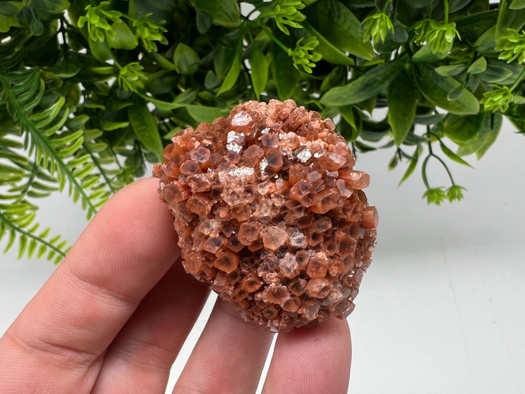 Extra Large Aragonite Sputnik Cluster: Raw Moroccan Crystal Decor