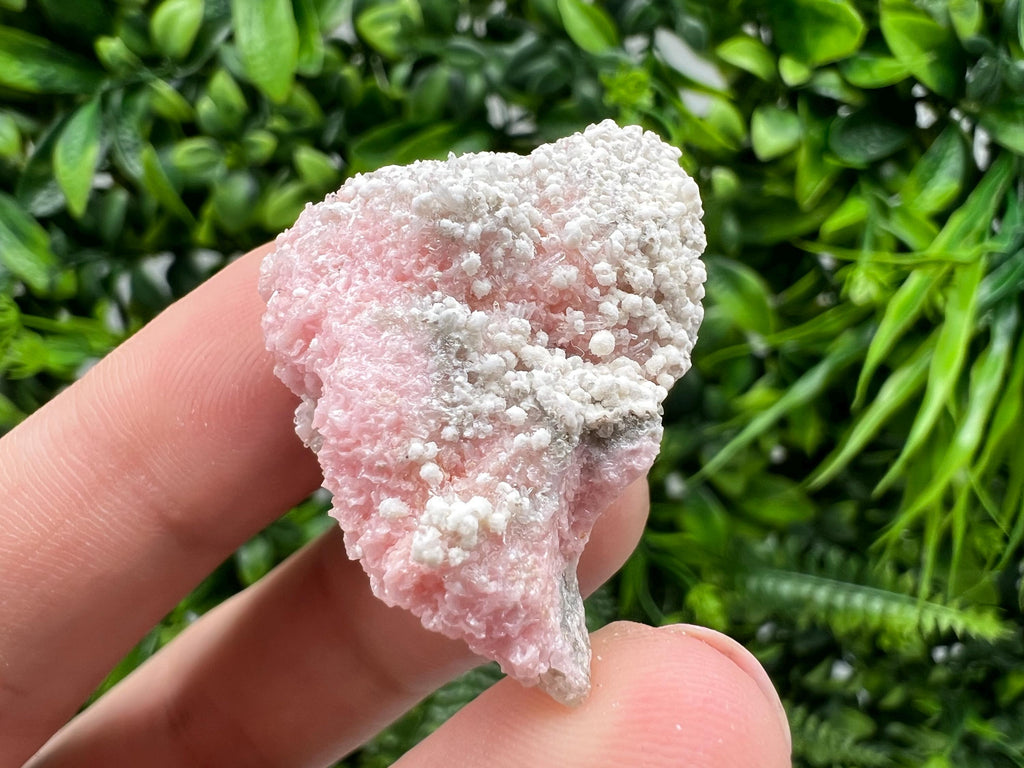 RARE Rhodochrosite with White Calcite, Starnica Mine, Bulgaria