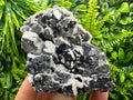 Rare Calcite on Galena, Borieva Mine Mineral Specimen