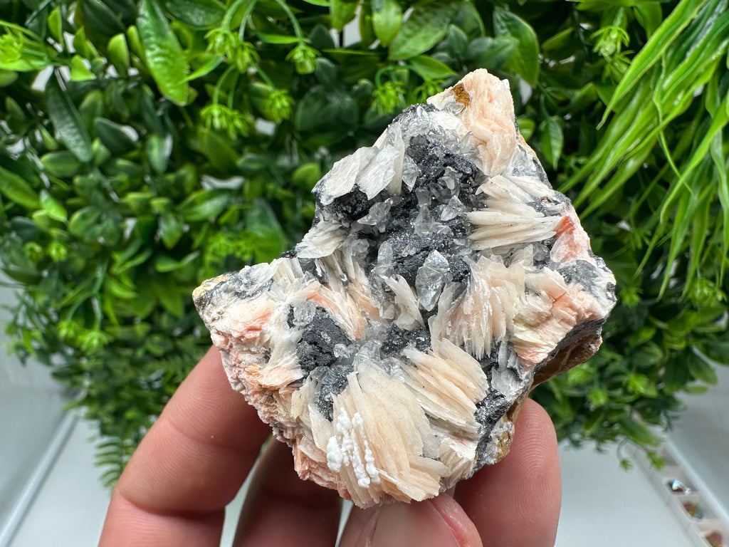 Wonderful Baryte with Cerussite on Galena from Morocco,Crystal, Mineral,Specimen,Cluster,Crystals,Barite Crystal,Cerussite Crystal,Specimen