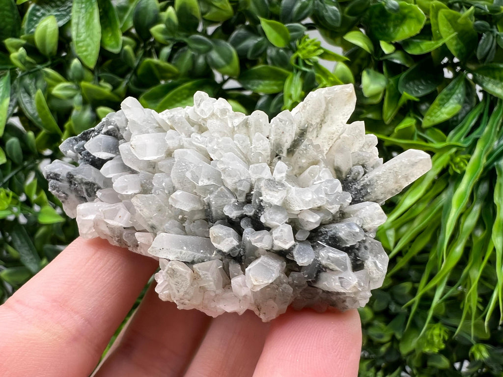 Stunning Transparent Quartz,from Borieva mine,natural collection mineral specimen rare crystal,home decor crystal,quartz cluster,Quartz,gift