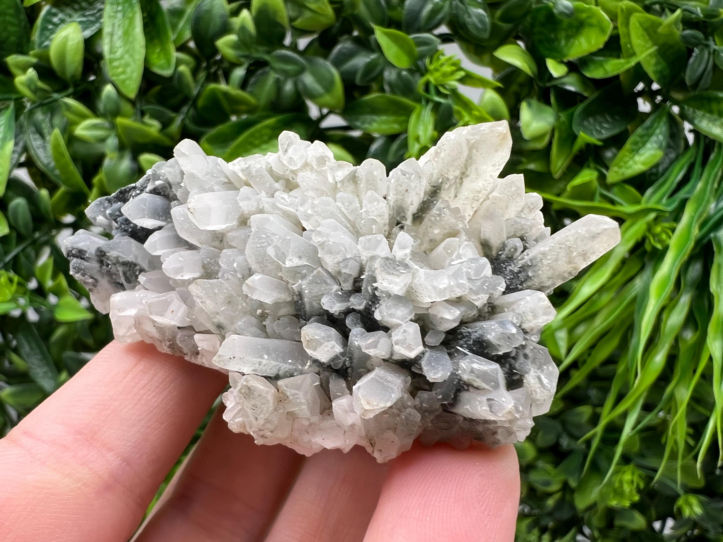Stunning Transparent Quartz,from Borieva mine,natural collection mineral specimen rare crystal,home decor crystal,quartz cluster,Quartz,gift