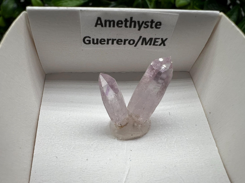 Mexican Amethyst Specimen: Crystal Collector Mineral (20mm)