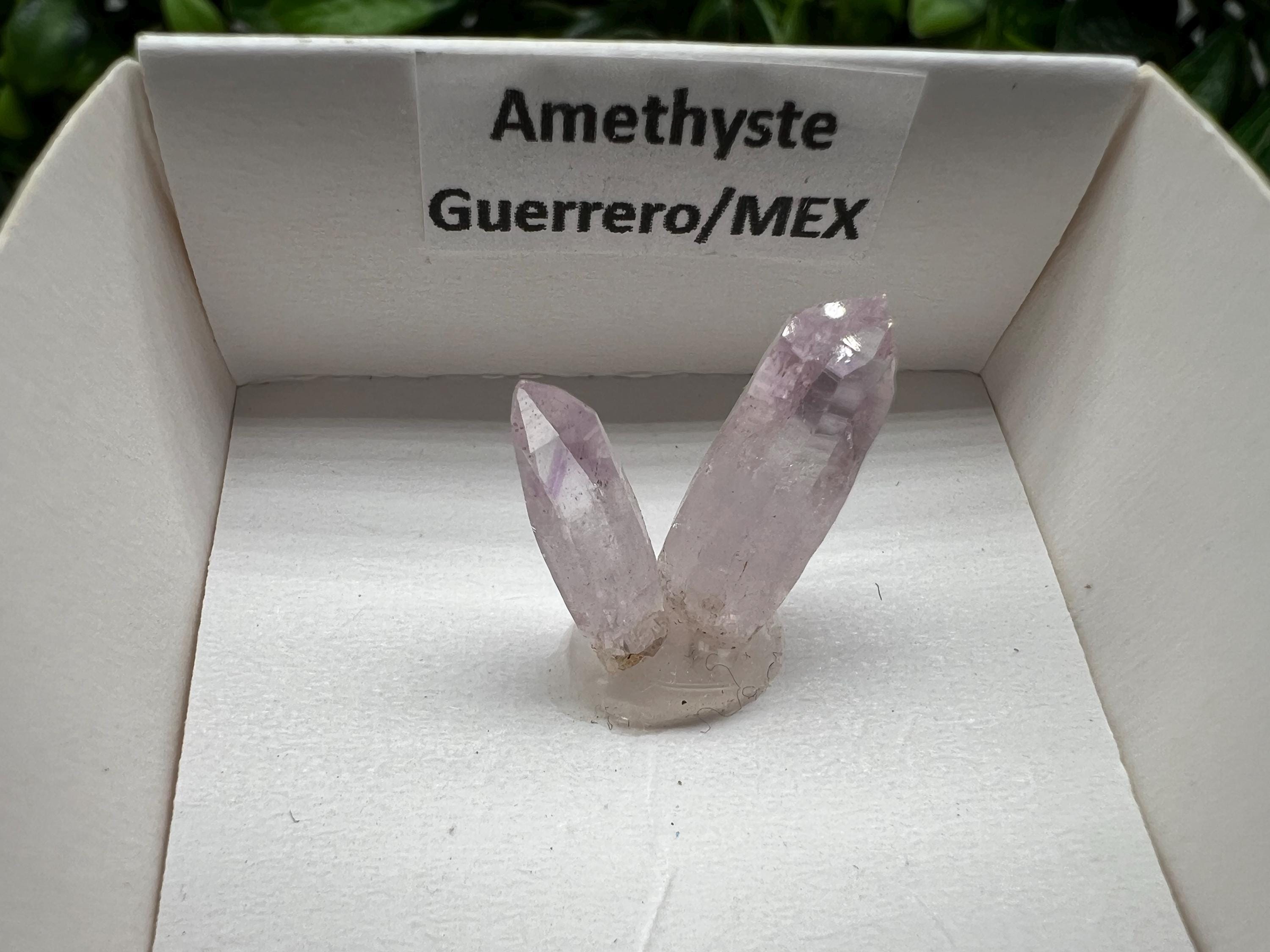 Mexican Amethyst Specimen: Crystal Collector Mineral (20mm)