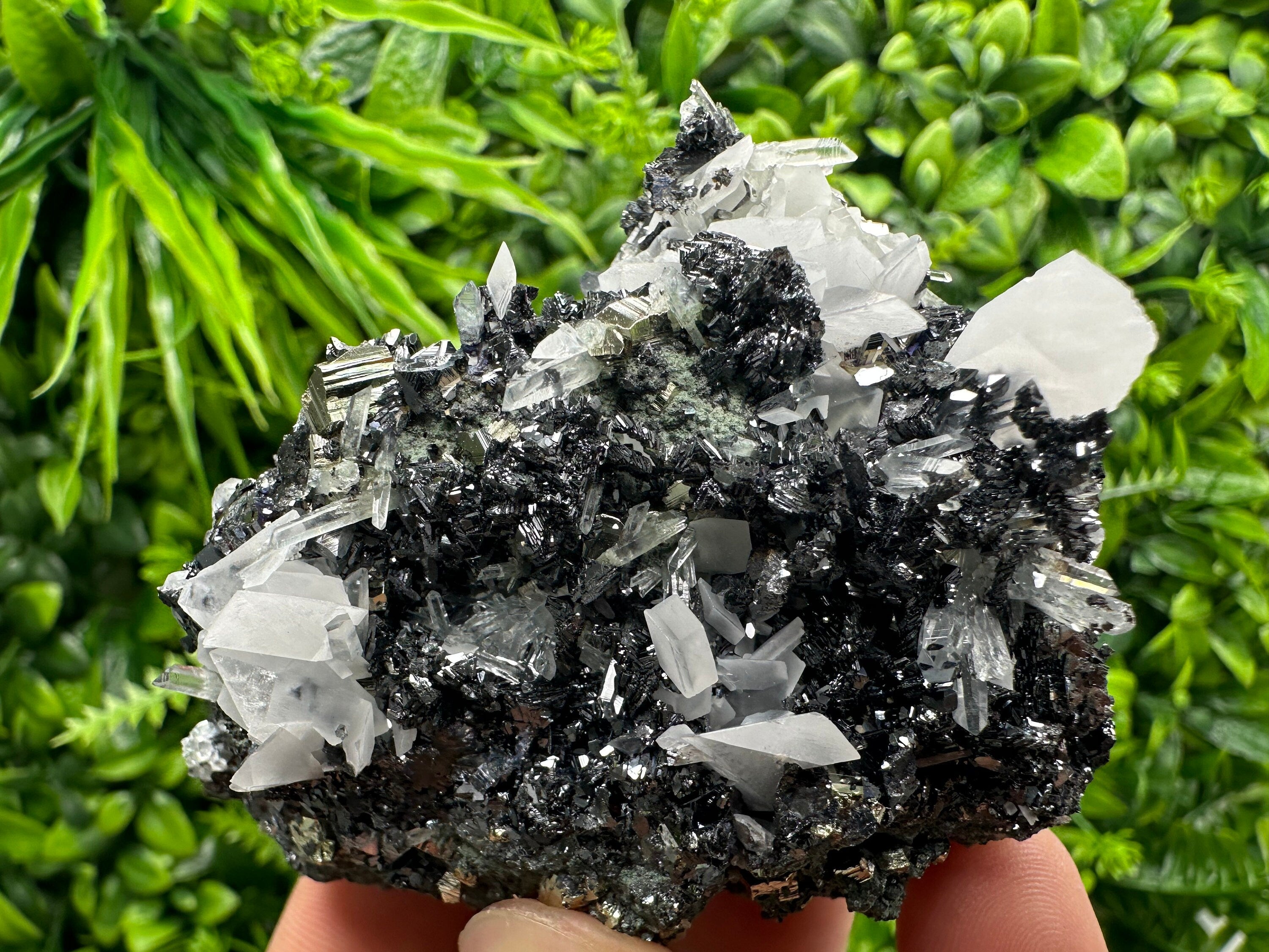 Pyrite Calcite on Sphalerite with Quartz, Borieva Mine Mineral Specimen