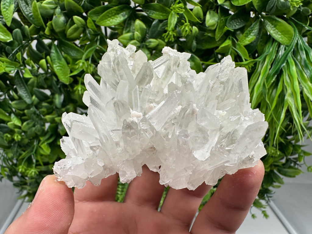 Transparent Quartz Crystal: Djurcovo Mine, Bulgaria