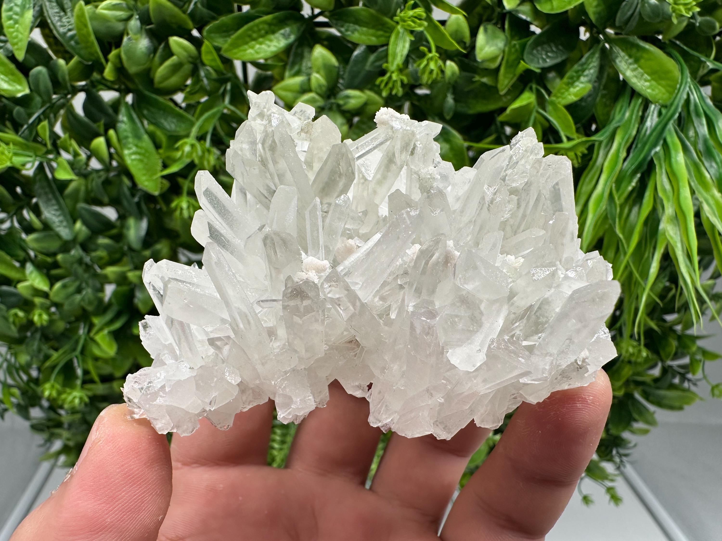 Transparent Quartz Crystal: Djurcovo Mine, Bulgaria