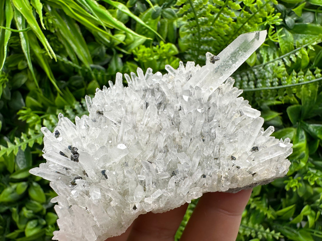 Quartz with Pyrite and Galena, Krushev Dol Mine, Bulgaria