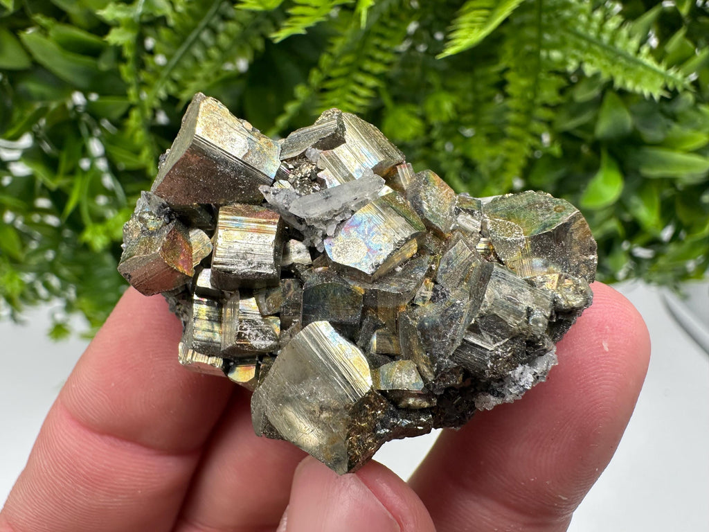 Rare Rainbow Pyrite Cluster: Borieva Mine, Bulgaria