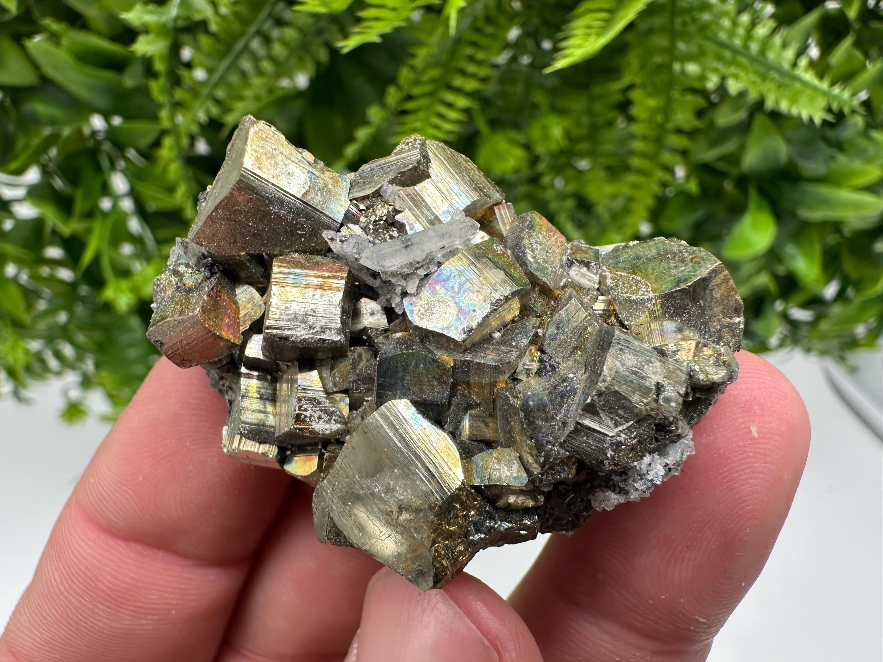 Rare Rainbow Pyrite Cluster: Borieva Mine, Bulgaria