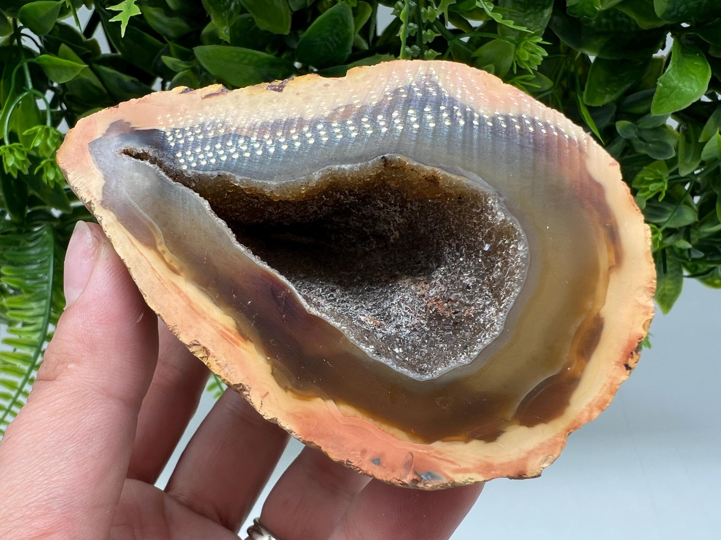 Natural Druzy Agate Geode, Quartz Crystal