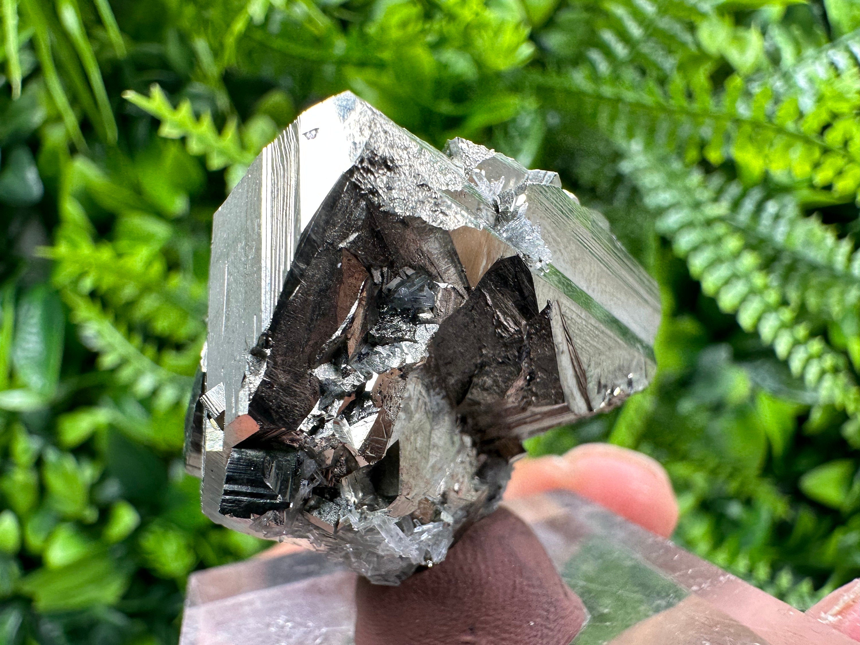 Golden Pyrite Cluster: Rare Floating Crystallization, Bulgaria