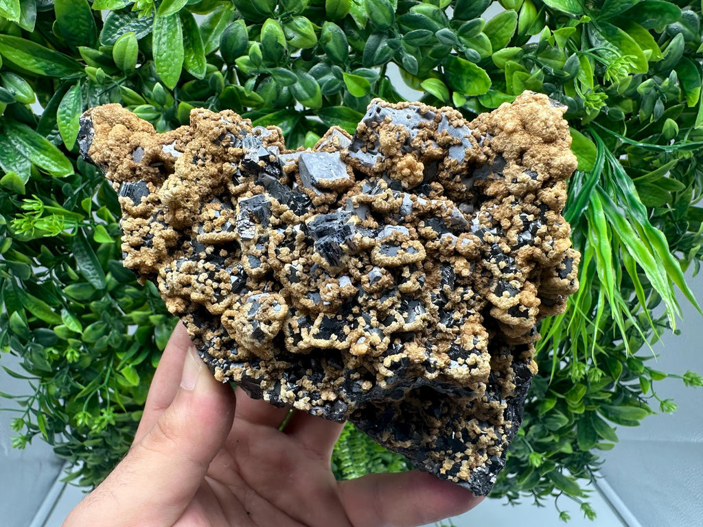 Skeletal Galena with Dolomite: Krushev Dol Mine, Bulgaria