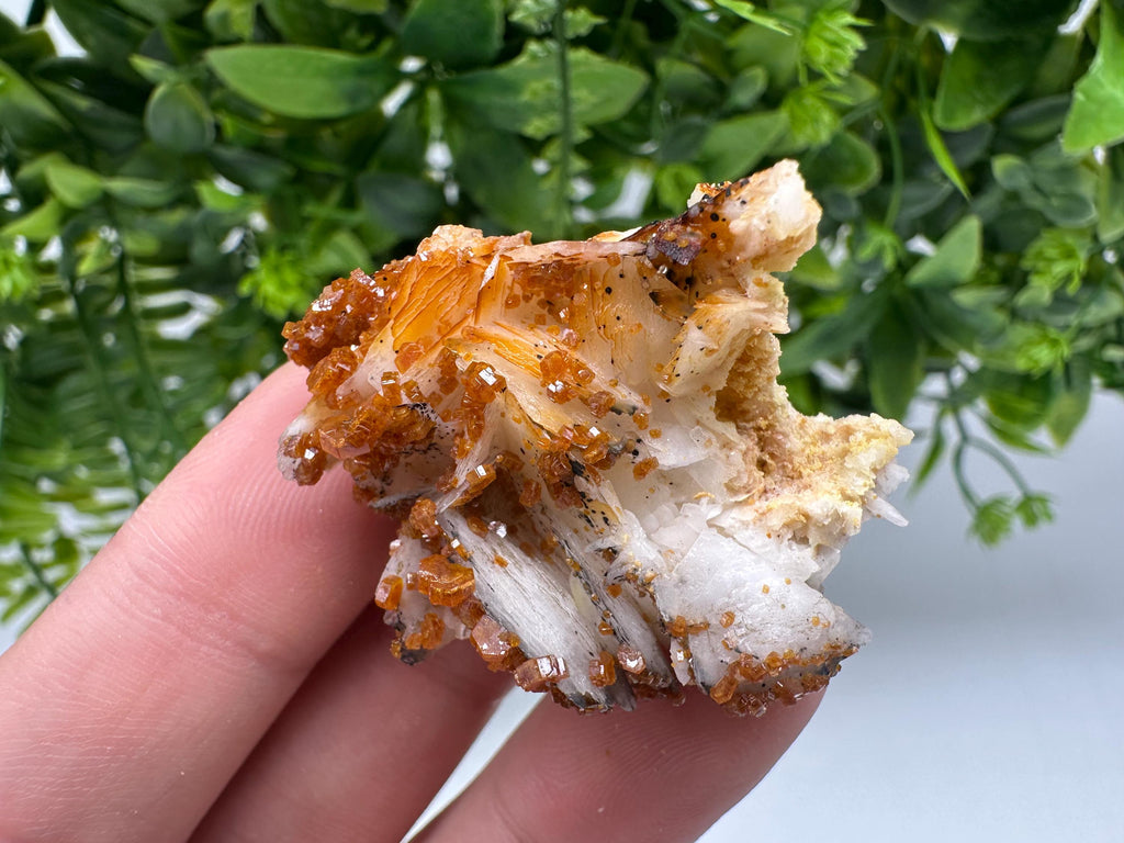 Red Vanadinite on Barite from Marocco,crystal minerals Speciment cluster Vanadinite crystal Vanadinite Geology Vanadinite cluster minerals
