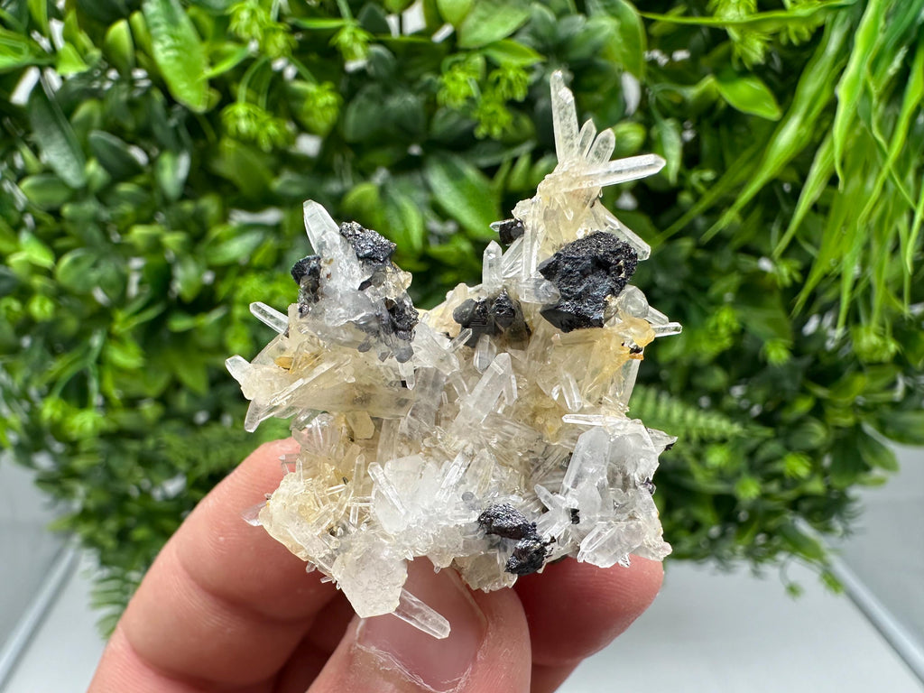 Wonderful Sphalerite Chalcopyrite on  Quartz whit Hematite from 9 th September mine,Bulgaria,natural,collection mineral specimen,gift
