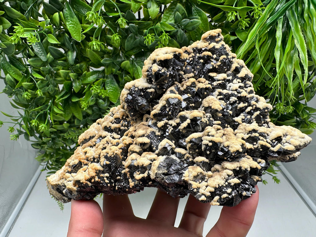 Aesthetic Sphalerite,Dolomite Krushev dol  mine Madan Bulgaria natural minerals souvenir crystal gift home decor stone rock