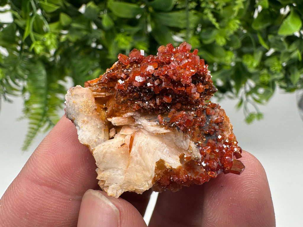 Red Vanadinite on Barite from Marocco,crystal minerals Speciment cluster Vanadinite crystal Vanadinite Geology Vanadinite cluster minerals