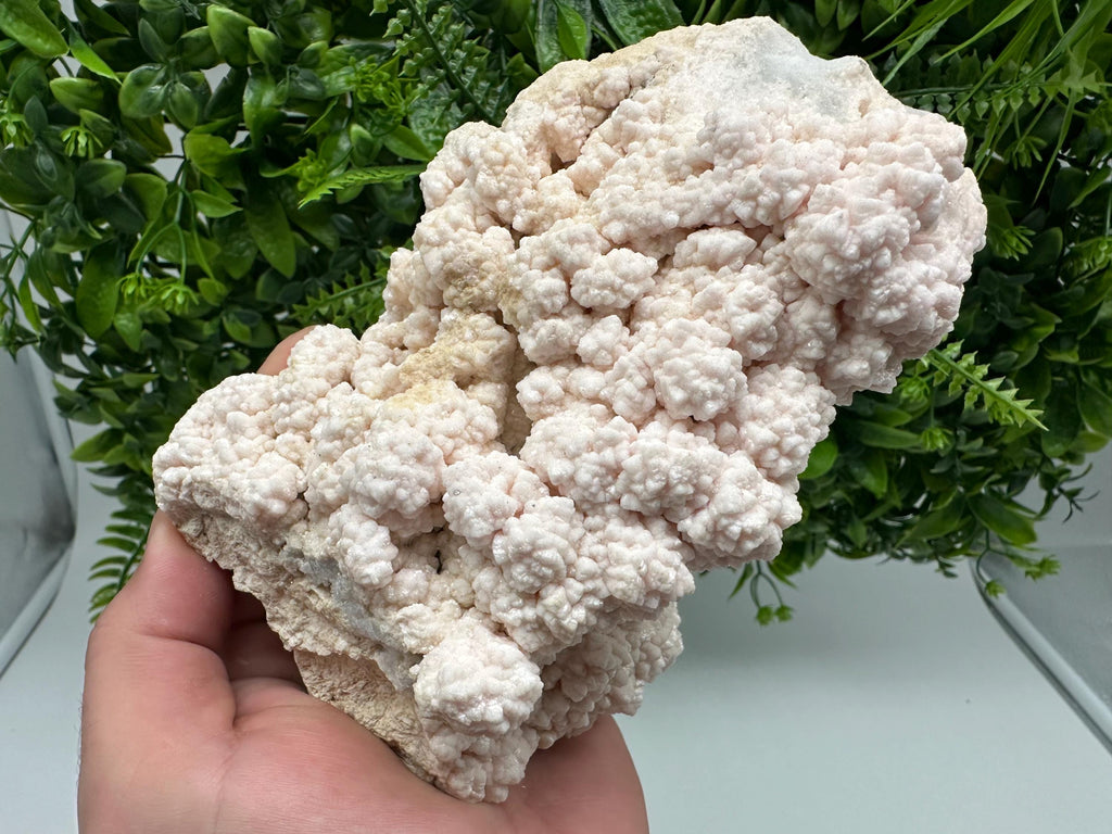 Pink Manganocalcite Specimen, Krushev dol Mine, Bulgaria