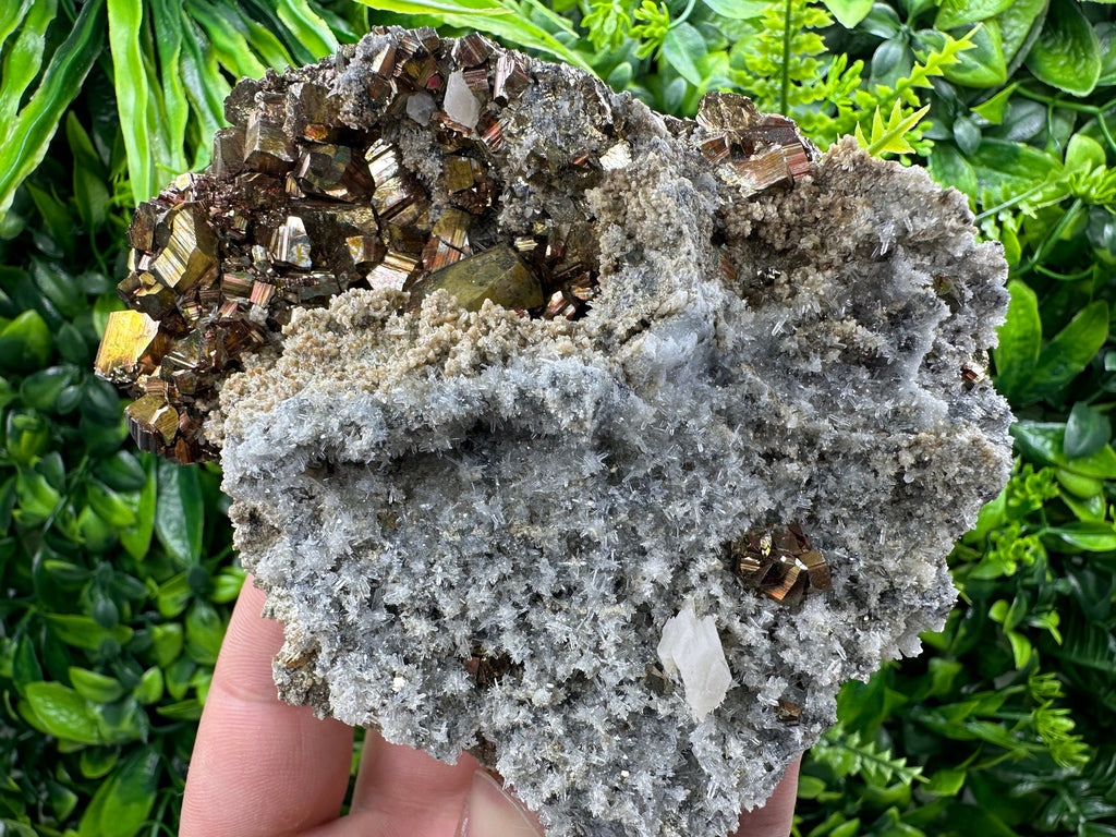 Pyrite on Quartz and Calcite: Natural Mineral Collection, Borieva Bulgaria