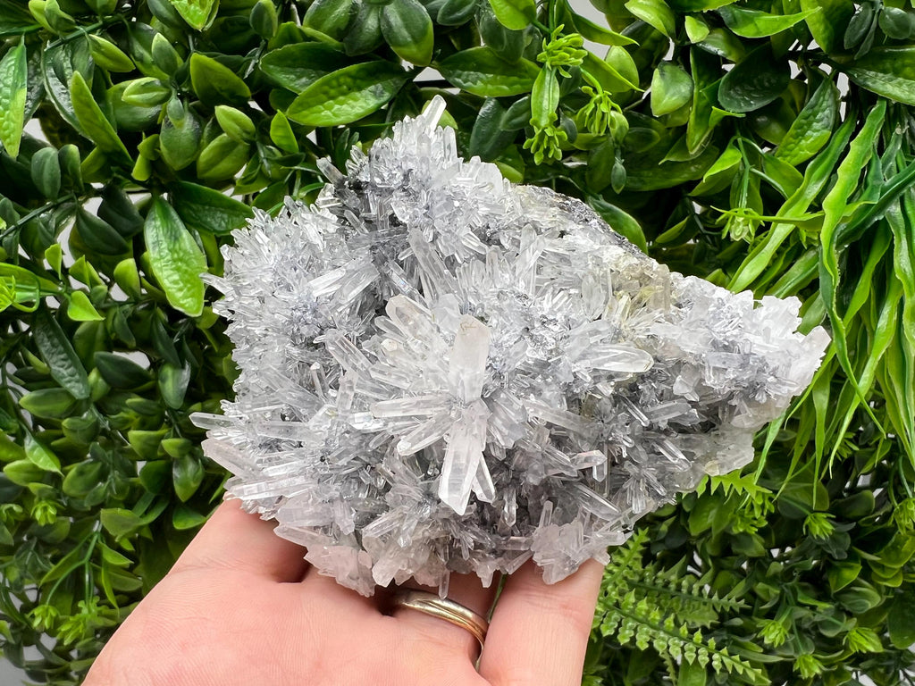 Stunning Transparent Quartz,from Borieva mine,natural collection mineral specimen rare crystal,home decor crystal,quartz cluster,Quartz,gift