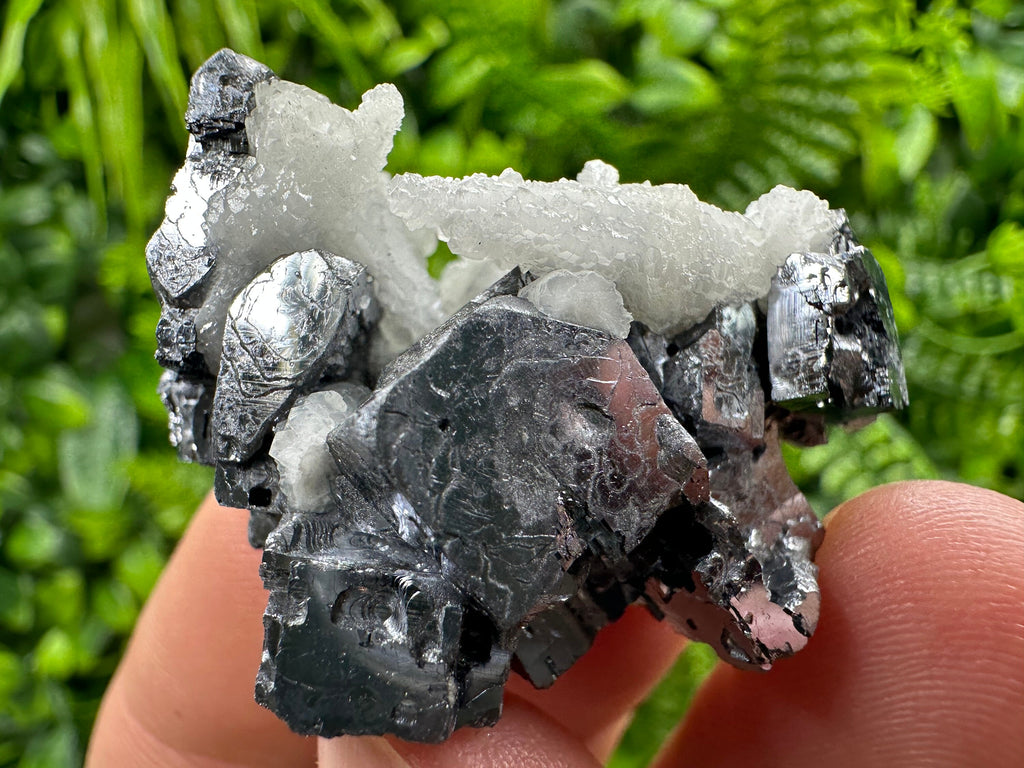Rare Calcite on Galena: Borieva Mine, Bulgaria