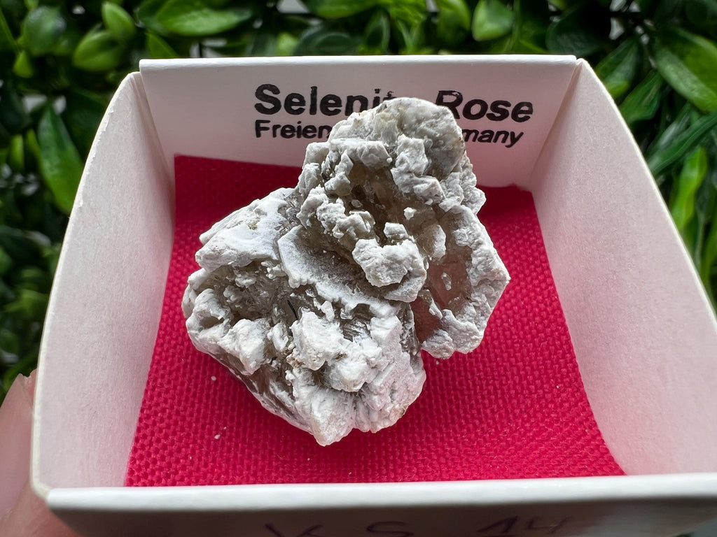 Selenite Rose Freienwalde,Germany natural crystal minerals,specimen,clusters,souvenirs,home decor,gift minerals,rare stone,collection