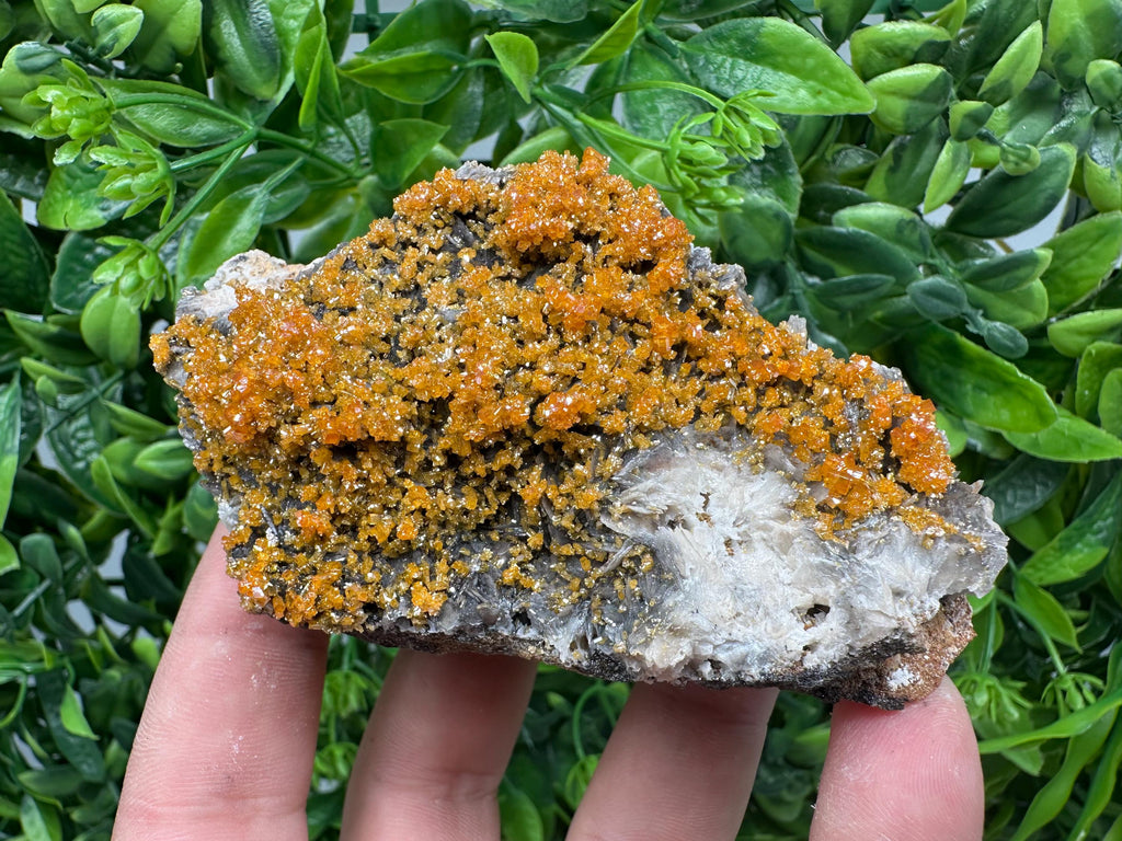 Rare Red Vanadinite Crystal Cluster on Barite with Goethite, Morocco