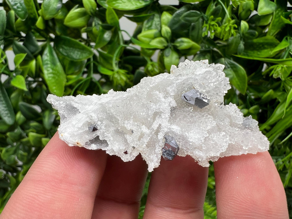Galena on Chalcedony Specimen: Krushev Dol Mine, Bulgaria