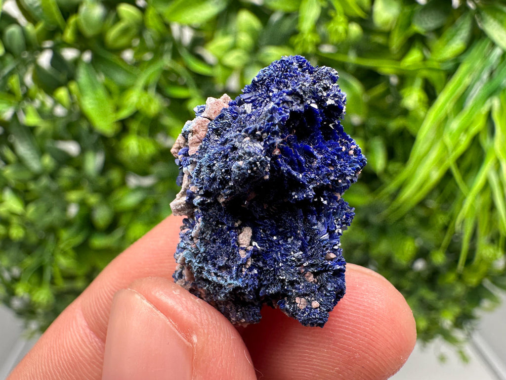 Crystallized Azurite-Kerrouchen,Morocco-Blue Azurite Specimen-High Quality Blue Azurite-Azurite Mineral Specimen, gemmy,lustrous of Azurite