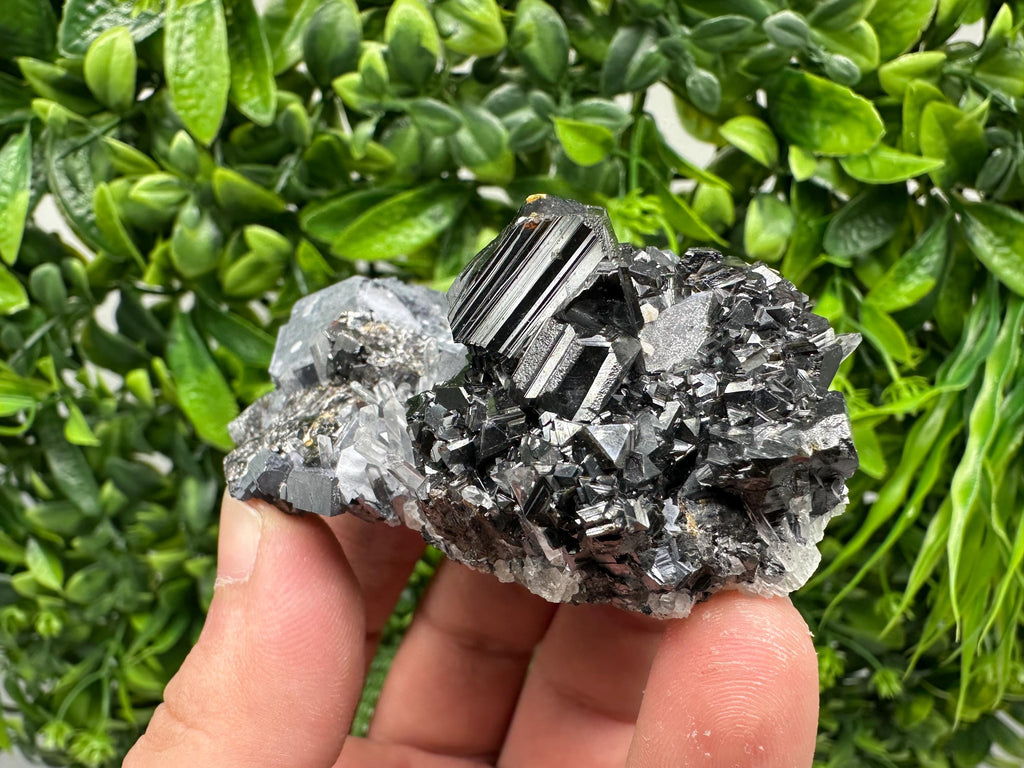 Galena on Sphalerite Mineral Specimen, Borieva Mine Bulgaria