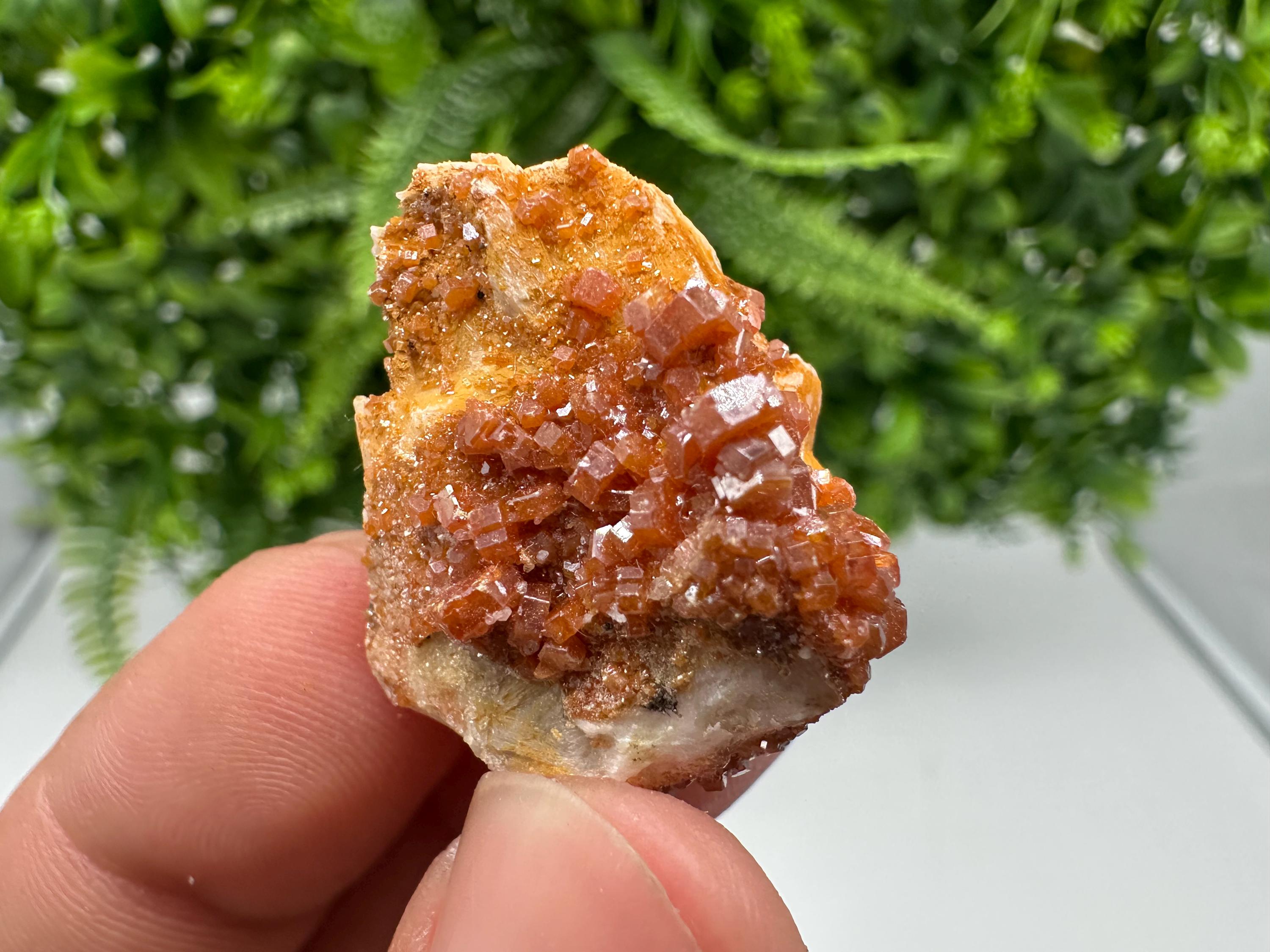 Red Vanadinite on Barite, Morocco Crystal Cluster