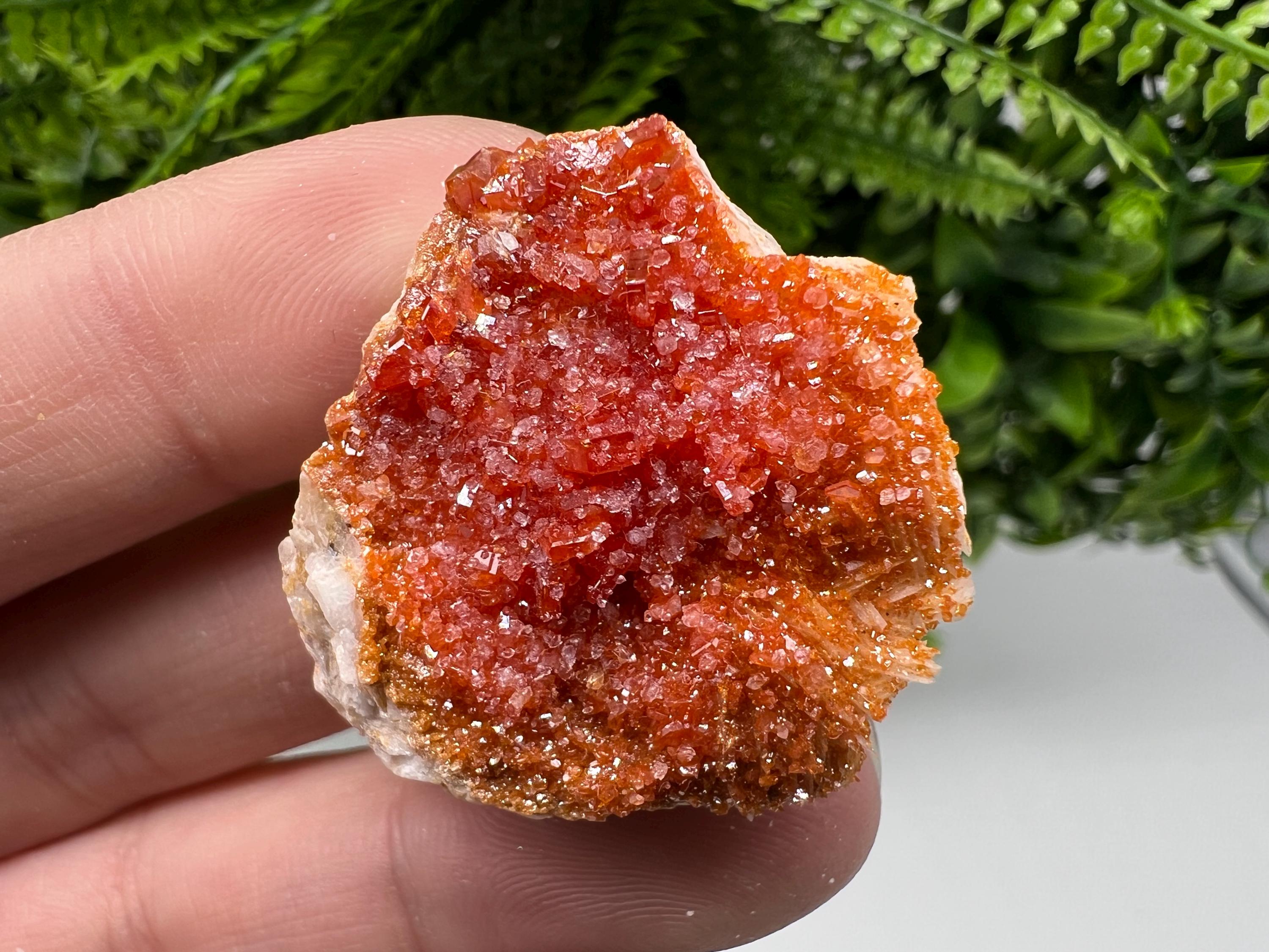 Red Vanadinite Crystal Cluster on Barite, Morocco Mineral Specimen