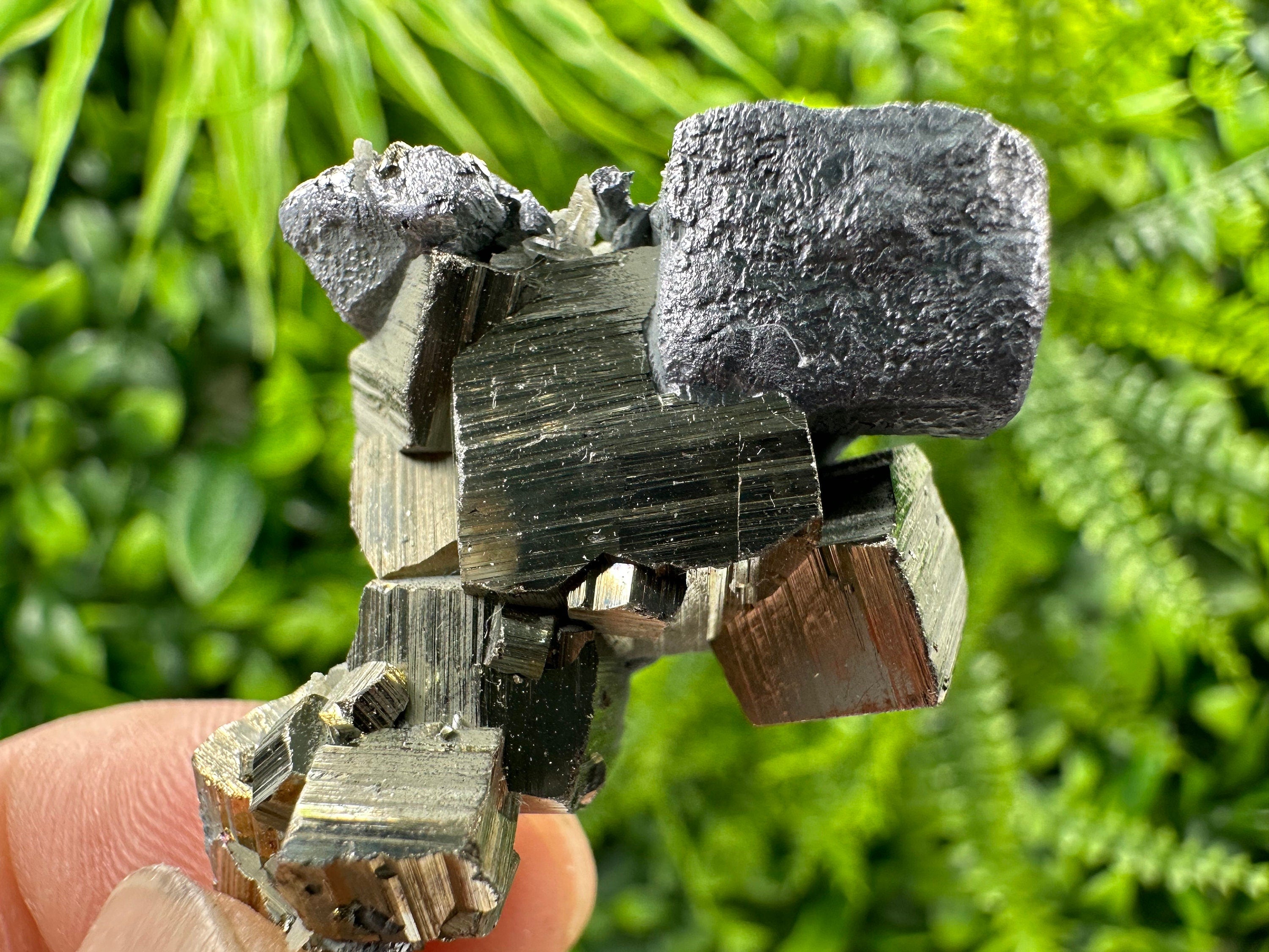 Galena on Pyrite Specimen: Borieva Mine, Bulgaria