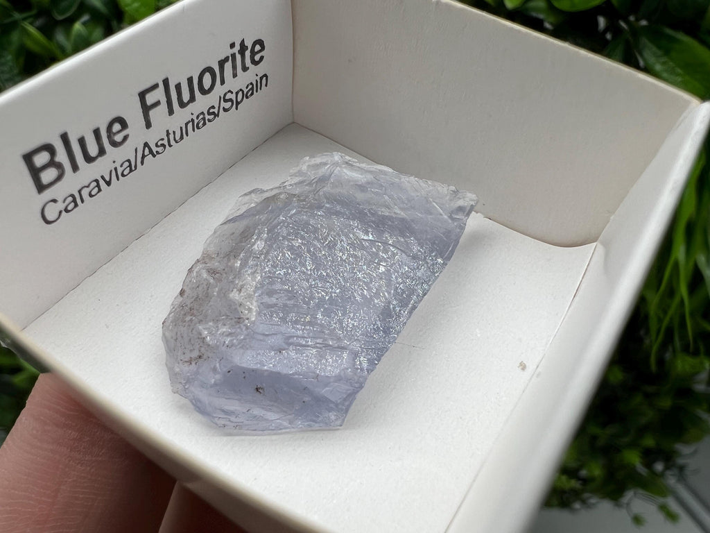Blue Fluorite Mineral Specimen: Spain Collection (3.5/2.5 cm)