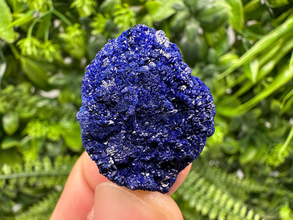 Crystallized Azurite-Kerrouchen,Morocco-Blue Azurite Specimen-High Quality Blue Azurite-Azurite Mineral Specimen, gemmy,lustrous of Azurite