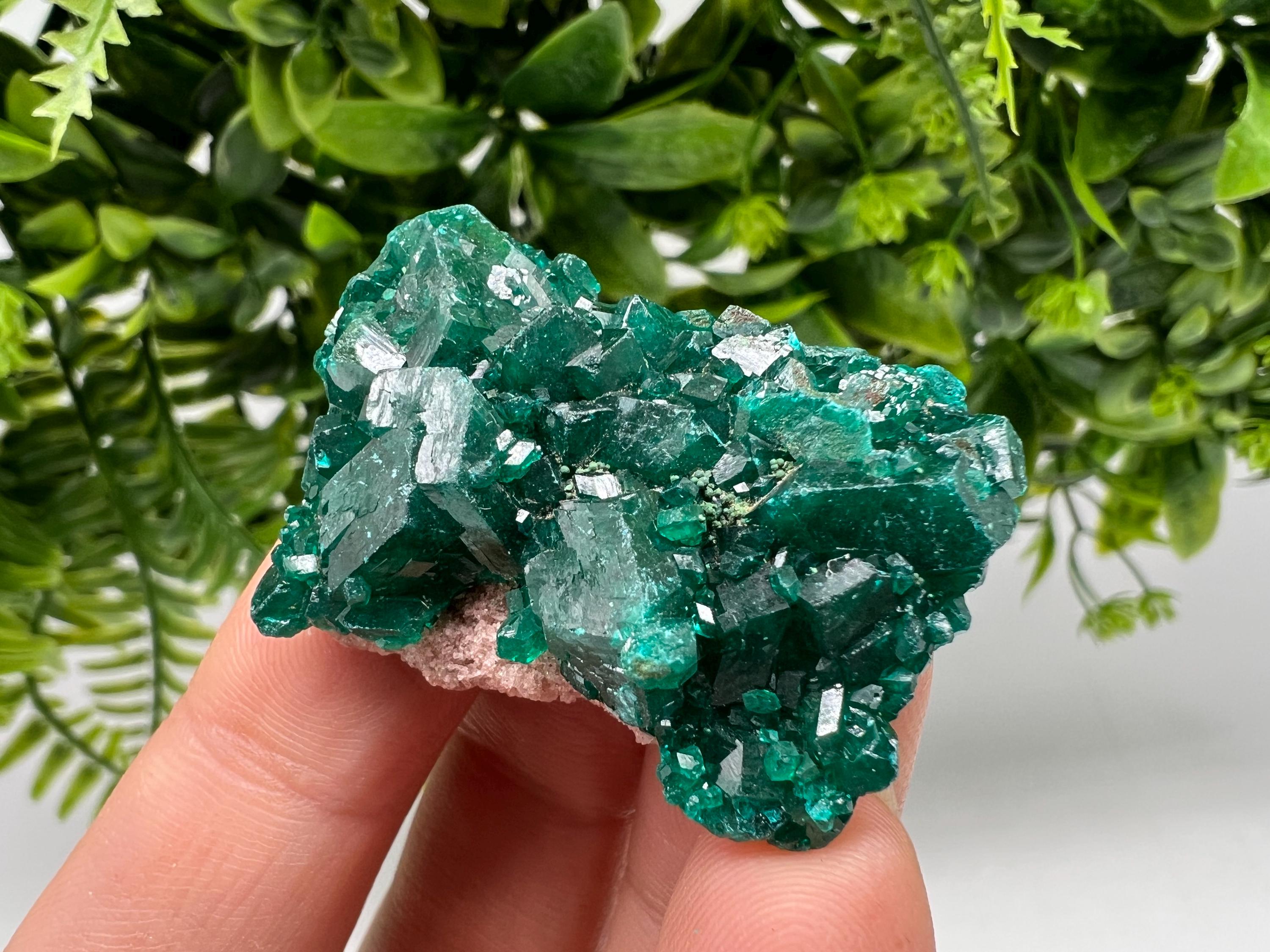 Stunning Green Dioptase from Sanda Hills,Mindouli,Pool Department,Mindouli District,Congo,green Dioptase,Dioptas Crystal,Dioptase collecting