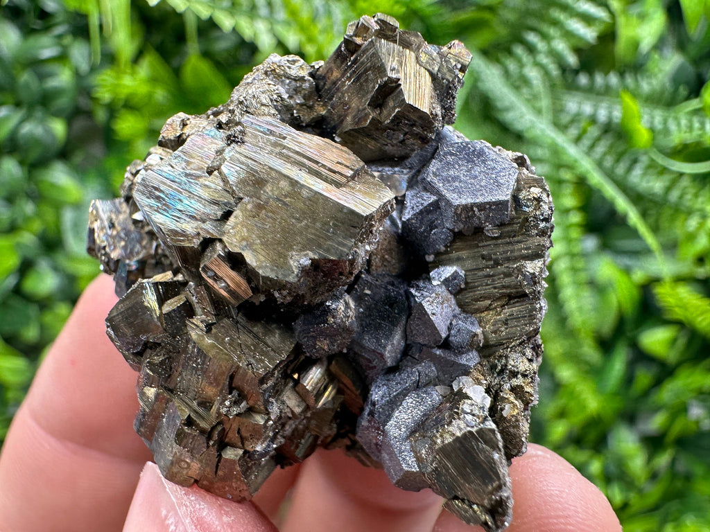 Pyrite with Hematite Specimen, Madan Bulgaria Mineral Gift
