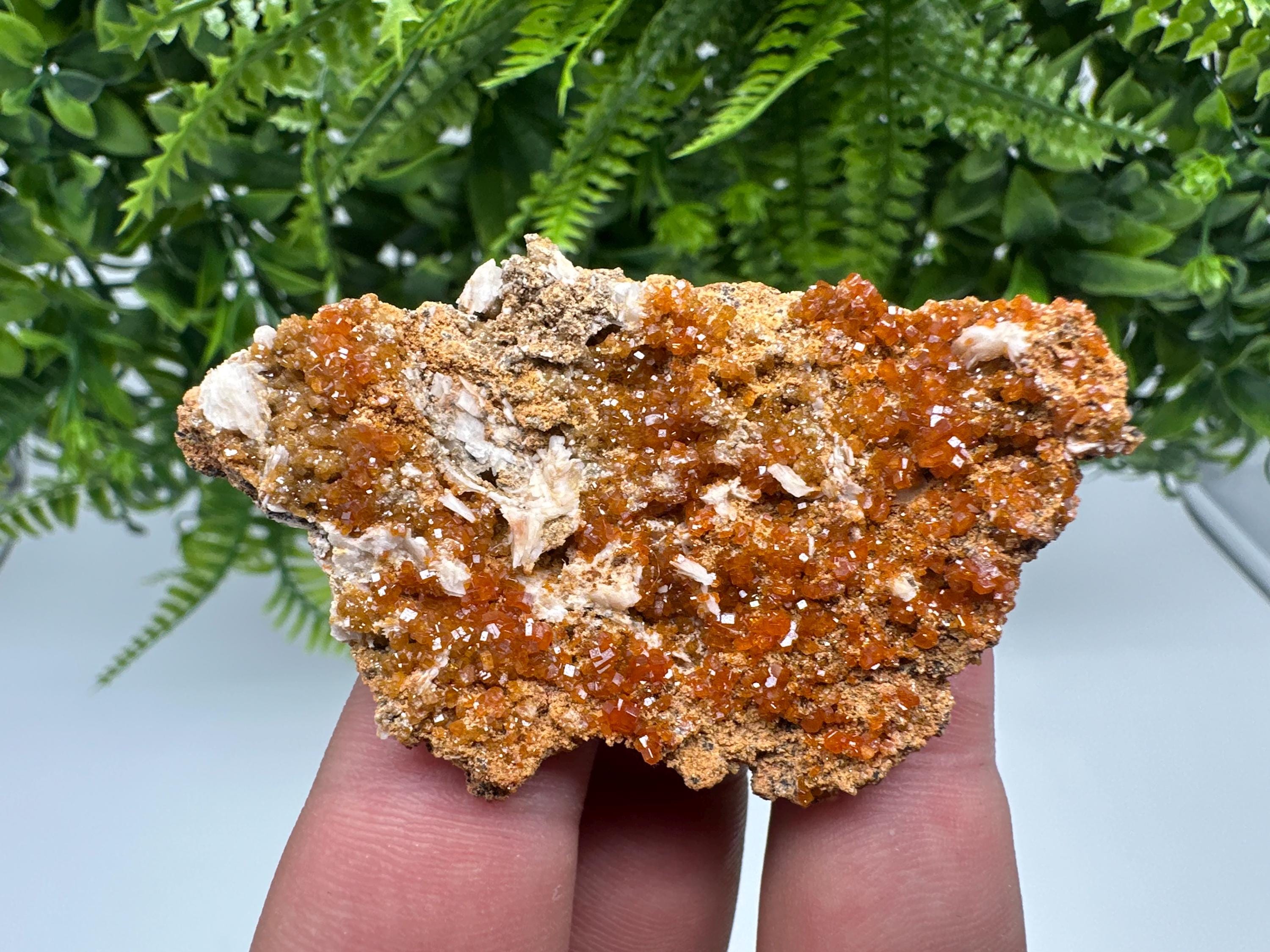 Red Vanadinite on Barite, Morocco Crystal Mineral Specimen