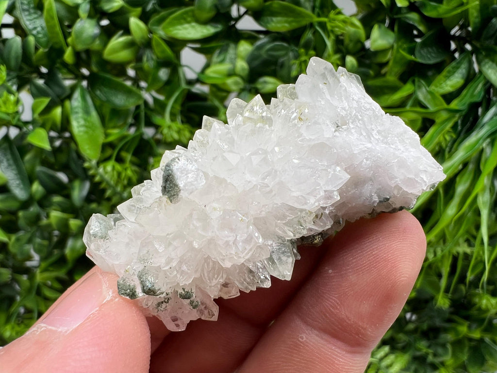 Transparent Quartz on Chlorite Matrix, Borieva Mine Mineral Specimen