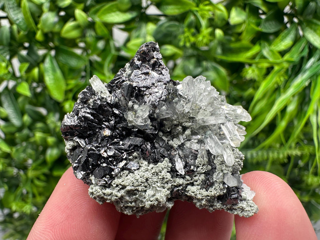 Aesthetic bigger Sphalerite whit Chlorite from Borieva mine Madan Bulgaria natural minerals souvenir crystal gift home decor stone rock