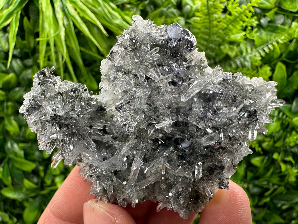 Galena Pyrite on Quartz, Borieva Mine, Bulgaria