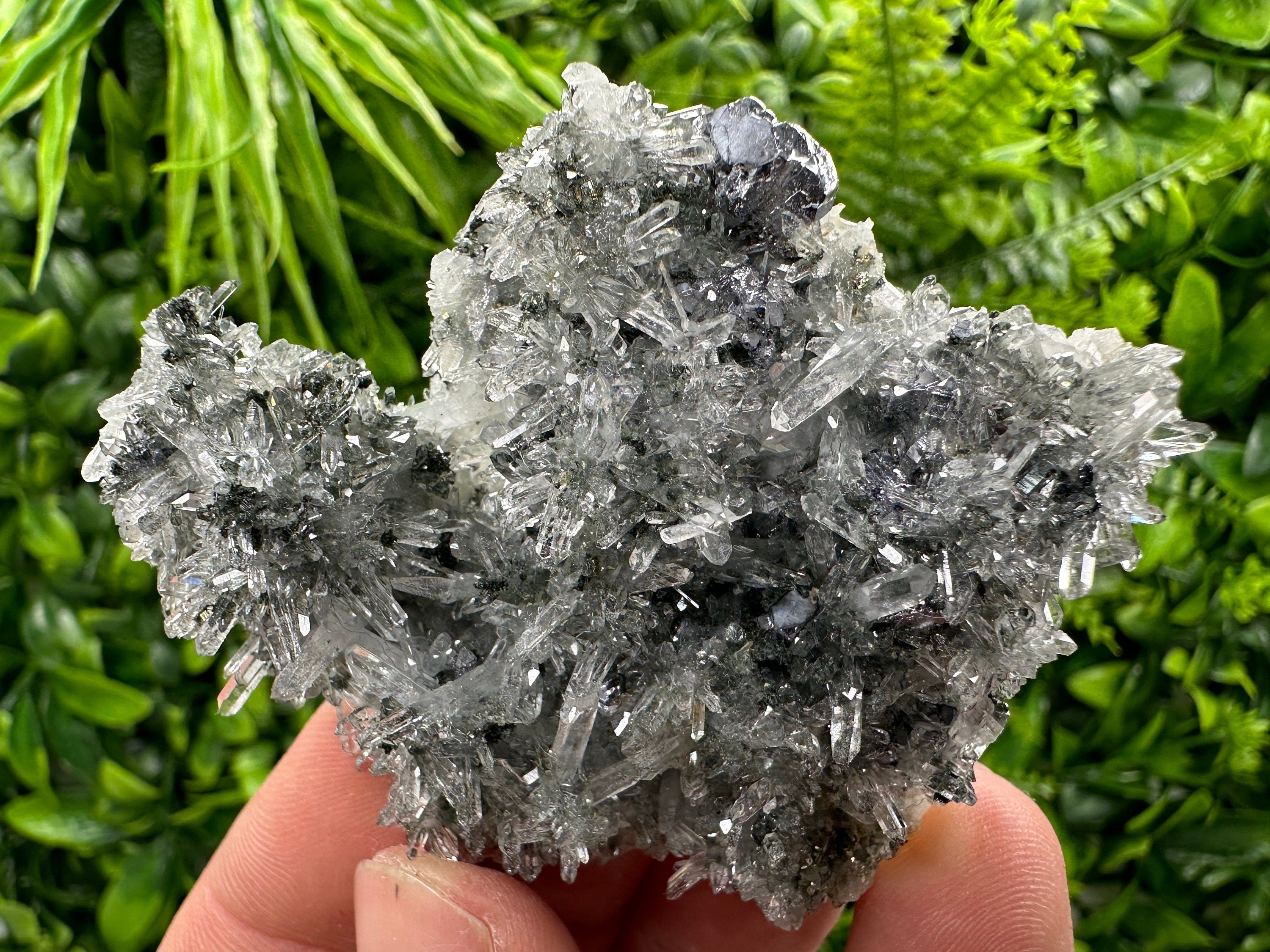 Galena Pyrite on Quartz, Borieva Mine, Bulgaria
