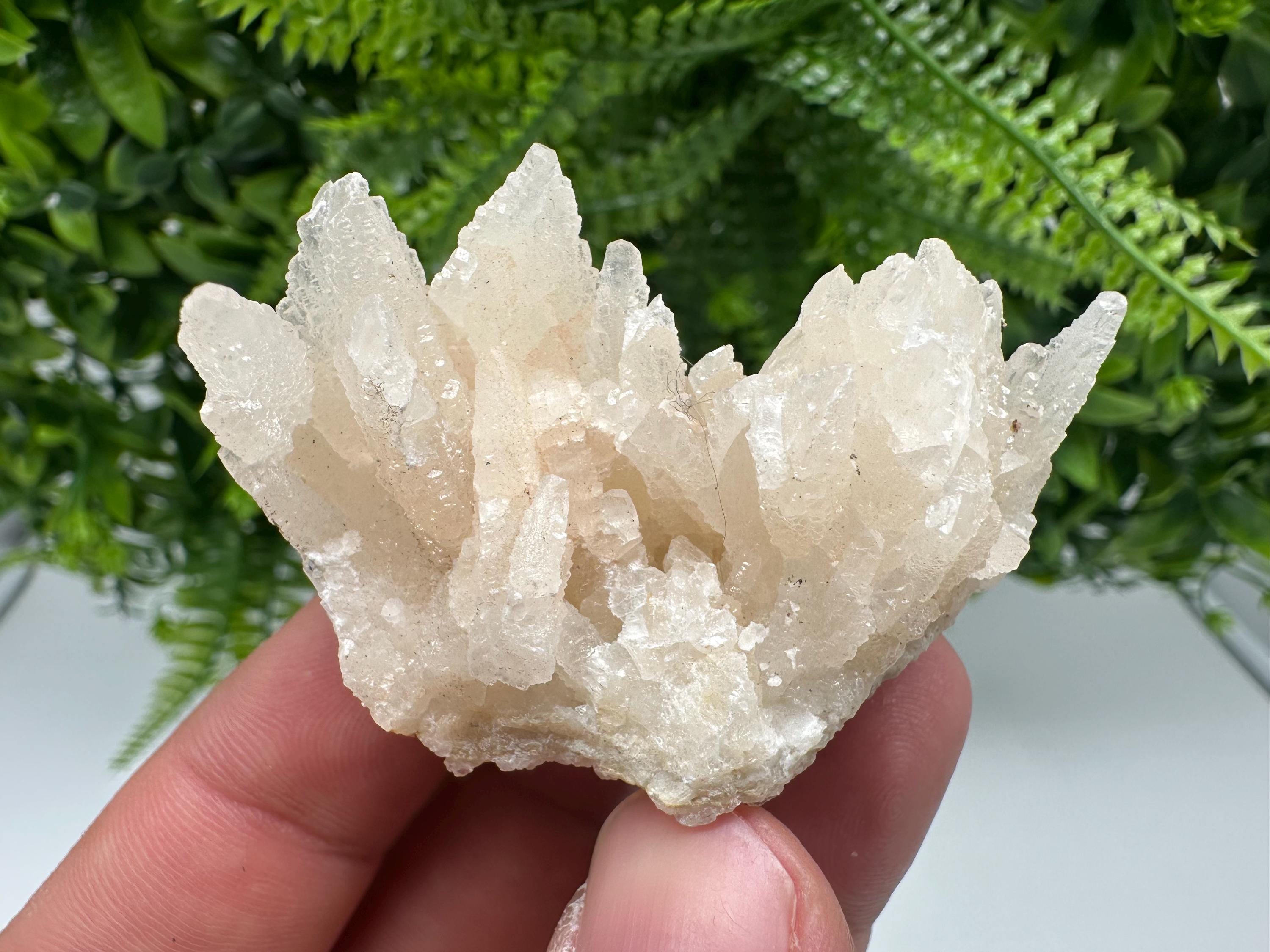 Calcite on Green Quartz: Djurcovo Mine, Bulgaria Crystal