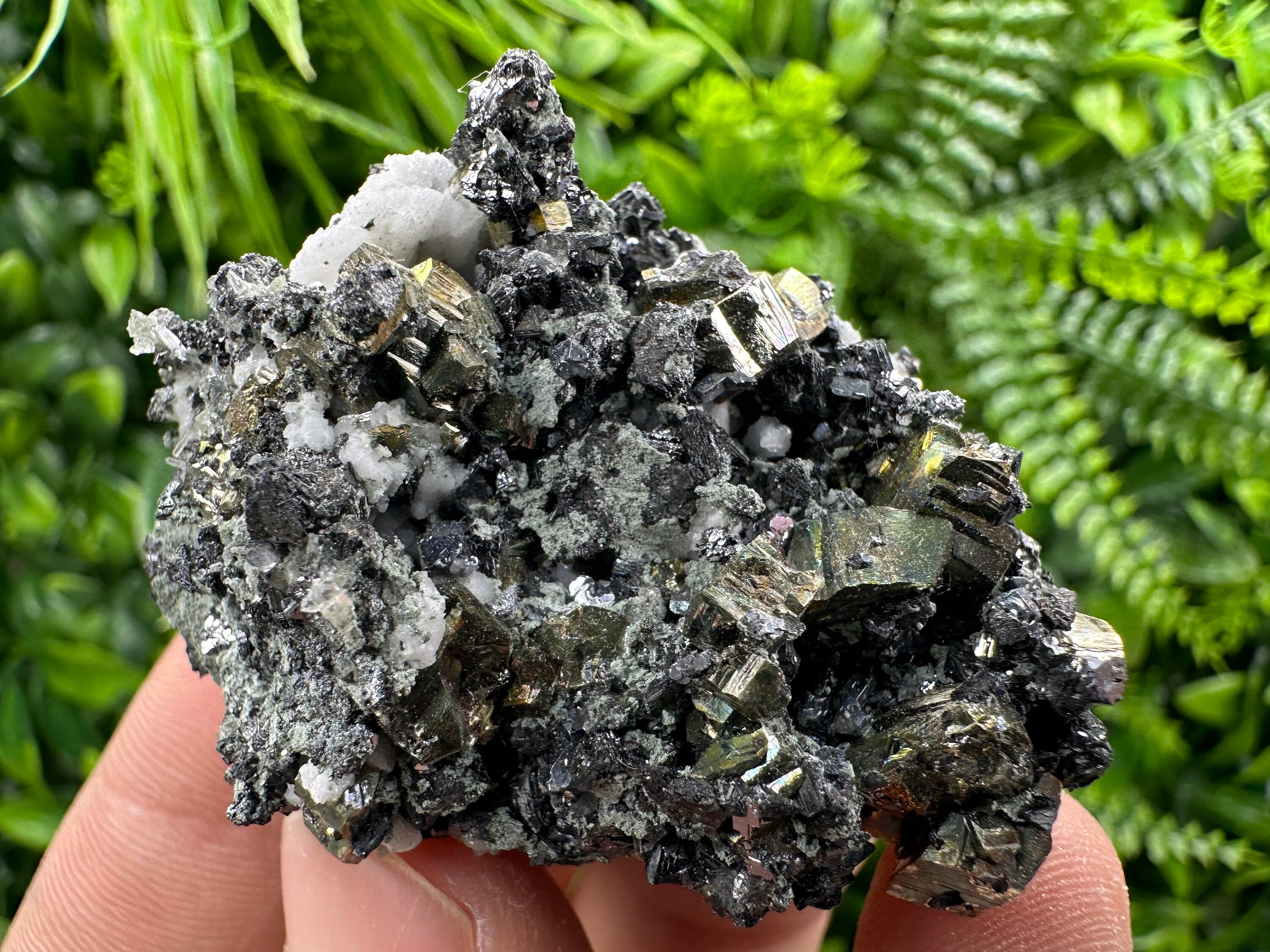 Rainbow Pyrite on Sphalerite and Quartz from Borieva Mine, Bulgaria