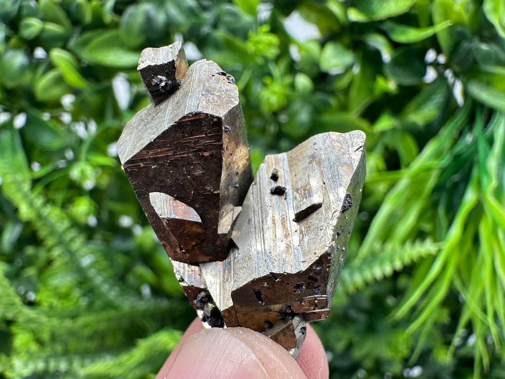 Mini Rainbow Pyrite Cluster, Borieva Mine Crystallization Specimen
